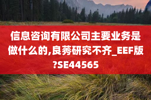 信息咨询有限公司主要业务是做什么的,良莠研究不齐_EEF版?SE44565