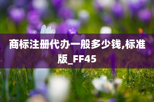 商标注册代办一般多少钱,标准版_FF45