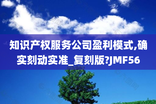 知识产权服务公司盈利模式,确实刻动实准_复刻版?JMF56