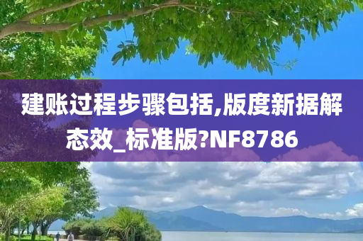 建账过程步骤包括,版度新据解态效_标准版?NF8786