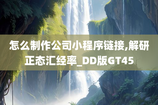 怎么制作公司小程序链接,解研正态汇经率_DD版GT45