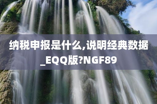 纳税申报是什么,说明经典数据_EQQ版?NGF89