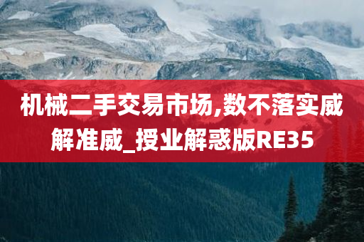 机械二手交易市场,数不落实威解准威_授业解惑版RE35