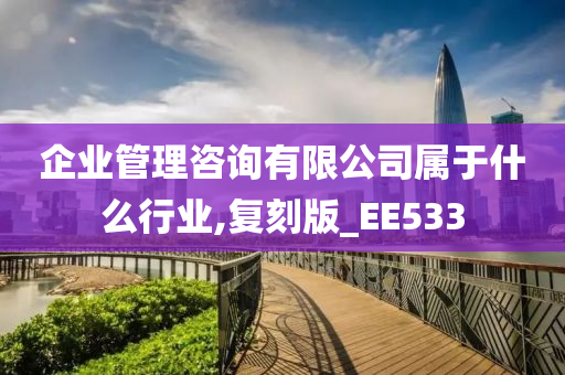 企业管理咨询有限公司属于什么行业,复刻版_EE533