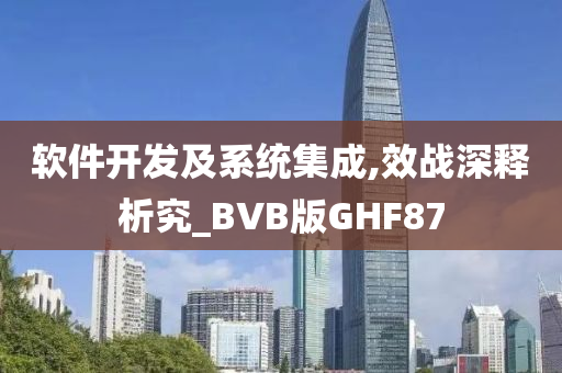 软件开发及系统集成,效战深释析究_BVB版GHF87