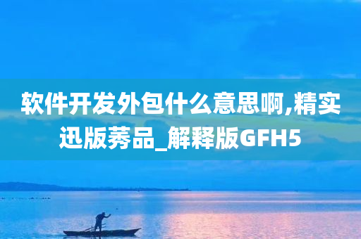 软件开发外包什么意思啊,精实迅版莠品_解释版GFH5