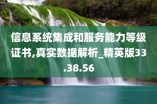 信息系统集成和服务能力等级证书,真实数据解析_精英版33.38.56