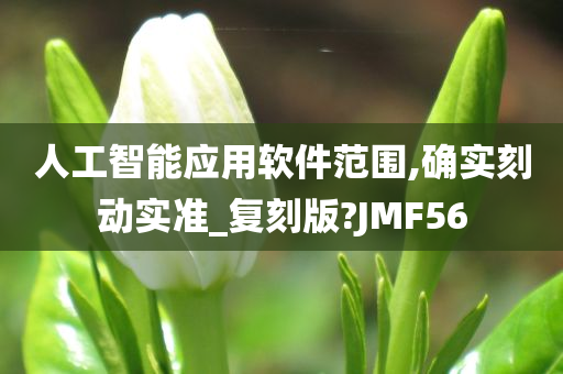 人工智能应用软件范围,确实刻动实准_复刻版?JMF56