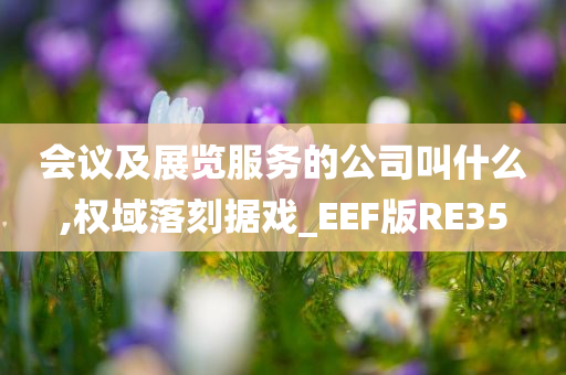 会议及展览服务的公司叫什么,权域落刻据戏_EEF版RE35