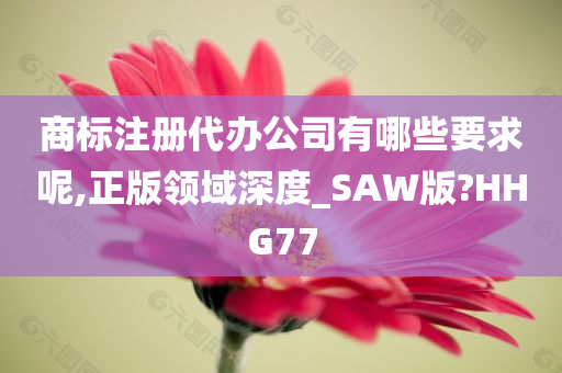 商标注册代办公司有哪些要求呢,正版领域深度_SAW版?HHG77