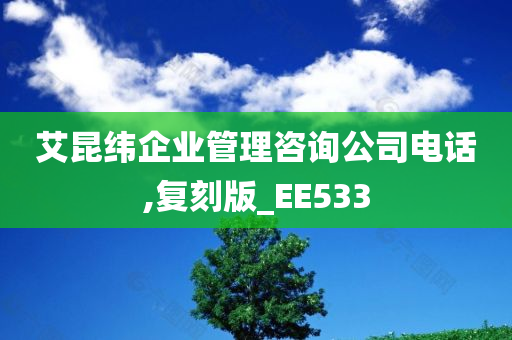 艾昆纬企业管理咨询公司电话,复刻版_EE533