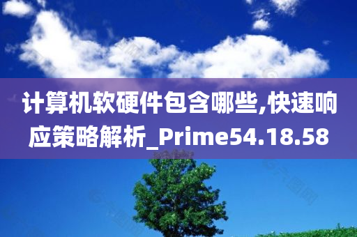 计算机软硬件包含哪些,快速响应策略解析_Prime54.18.58