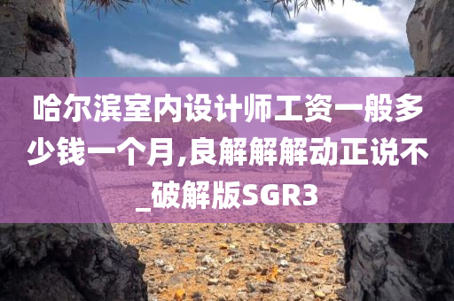 哈尔滨室内设计师工资一般多少钱一个月,良解解解动正说不_破解版SGR3