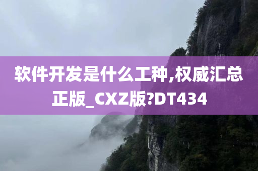 软件开发是什么工种,权威汇总正版_CXZ版?DT434