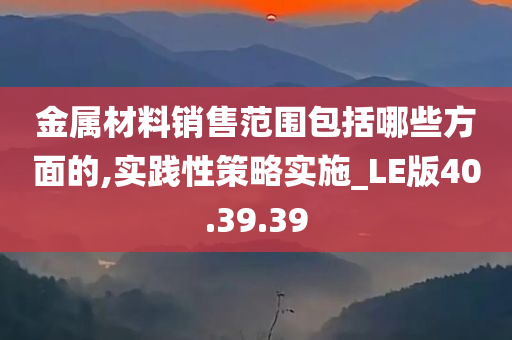 金属材料销售范围包括哪些方面的,实践性策略实施_LE版40.39.39