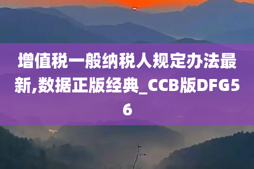 增值税一般纳税人规定办法最新,数据正版经典_CCB版DFG56