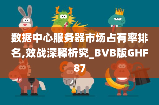 数据中心服务器市场占有率排名,效战深释析究_BVB版GHF87