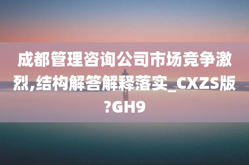 成都管理咨询公司市场竞争激烈,结构解答解释落实_CXZS版?GH9