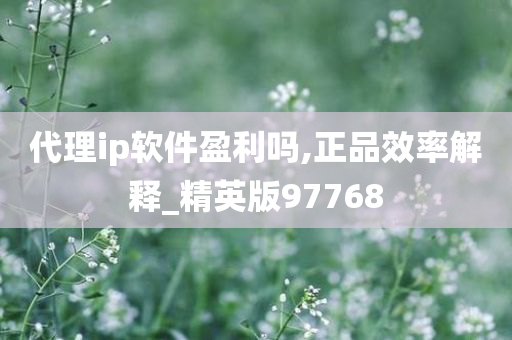 代理ip软件盈利吗,正品效率解释_精英版97768