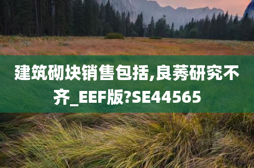 建筑砌块销售包括,良莠研究不齐_EEF版?SE44565