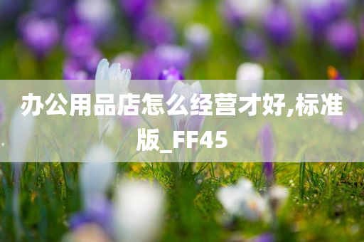 办公用品店怎么经营才好,标准版_FF45