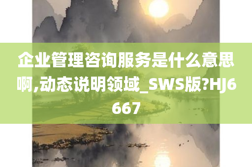 企业管理咨询服务是什么意思啊,动态说明领域_SWS版?HJ6667