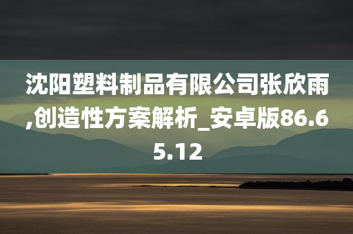 沈阳塑料制品有限公司张欣雨,创造性方案解析_安卓版86.65.12