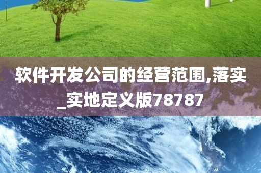 软件开发公司的经营范围,落实_实地定义版78787