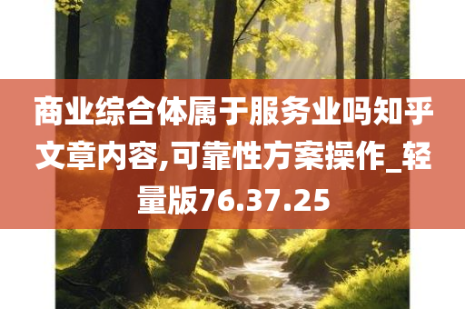 商业综合体属于服务业吗知乎文章内容,可靠性方案操作_轻量版76.37.25