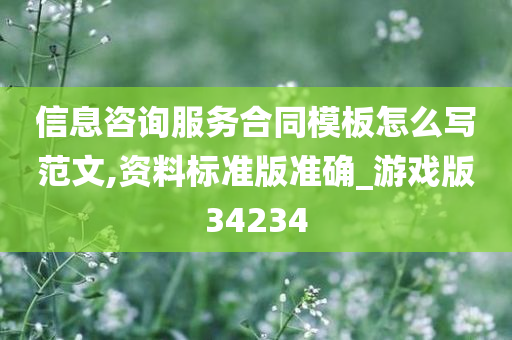 信息咨询服务合同模板怎么写范文,资料标准版准确_游戏版34234