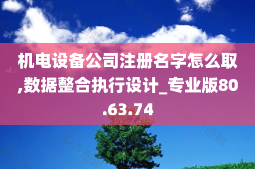 机电设备公司注册名字怎么取,数据整合执行设计_专业版80.63.74