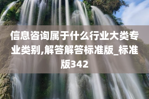 信息咨询属于什么行业大类专业类别,解答解答标准版_标准版342