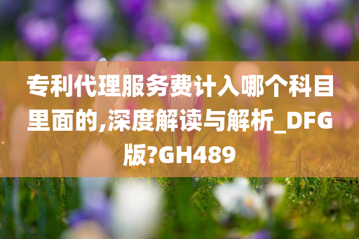 专利代理服务费计入哪个科目里面的,深度解读与解析_DFG版?GH489