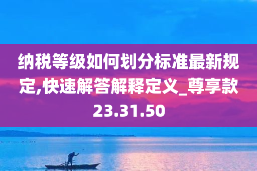 纳税等级如何划分标准最新规定,快速解答解释定义_尊享款23.31.50