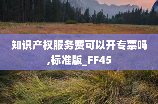 知识产权服务费可以开专票吗,标准版_FF45