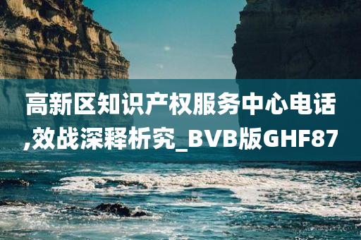 高新区知识产权服务中心电话,效战深释析究_BVB版GHF87