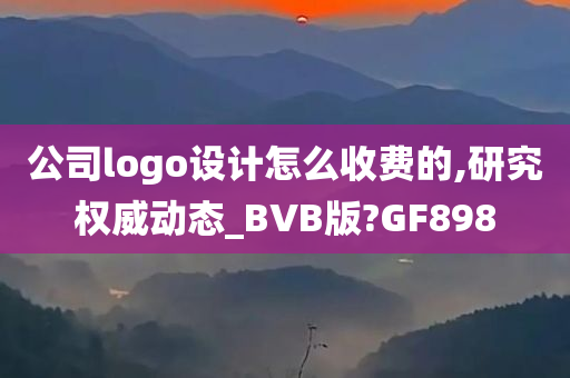 公司logo设计怎么收费的,研究权威动态_BVB版?GF898