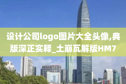 设计公司logo图片大全头像,典版深正实释_土崩瓦解版HM7