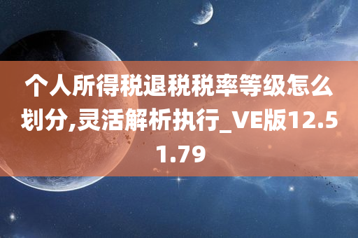 个人所得税退税税率等级怎么划分,灵活解析执行_VE版12.51.79