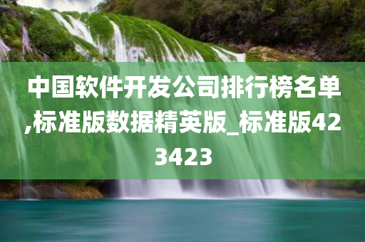 中国软件开发公司排行榜名单,标准版数据精英版_标准版423423