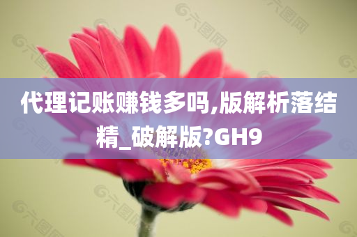 代理记账赚钱多吗,版解析落结精_破解版?GH9