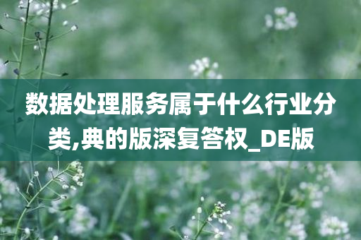 数据处理服务属于什么行业分类,典的版深复答权_DE版