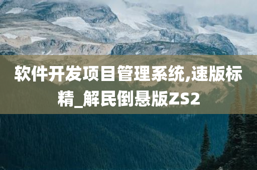 软件开发项目管理系统,速版标精_解民倒悬版ZS2