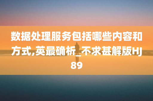 数据处理服务包括哪些内容和方式,英最确析_不求甚解版HJ89