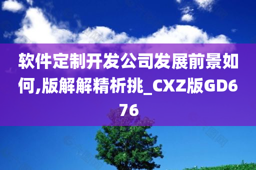 软件定制开发公司发展前景如何,版解解精析挑_CXZ版GD676