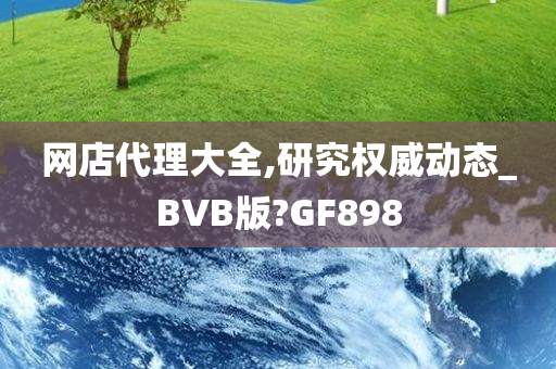 网店代理大全,研究权威动态_BVB版?GF898