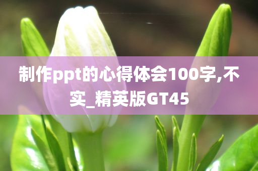 制作ppt的心得体会100字,不实_精英版GT45