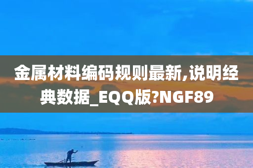 金属材料编码规则最新,说明经典数据_EQQ版?NGF89