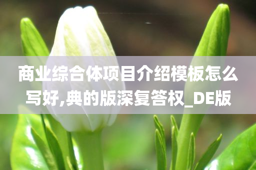 商业综合体项目介绍模板怎么写好,典的版深复答权_DE版