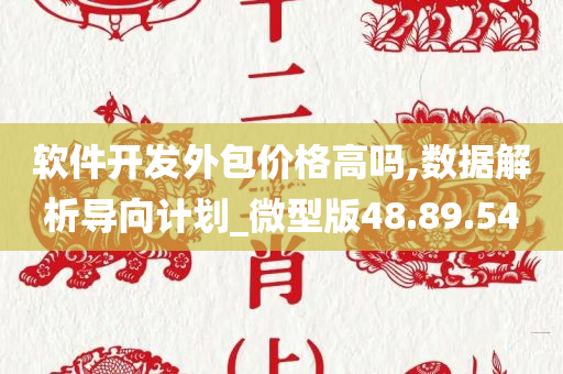 软件开发外包价格高吗,数据解析导向计划_微型版48.89.54